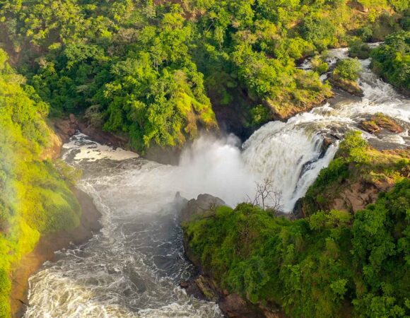 5-Day Murchison Falls Safari & Gorilla Trekking