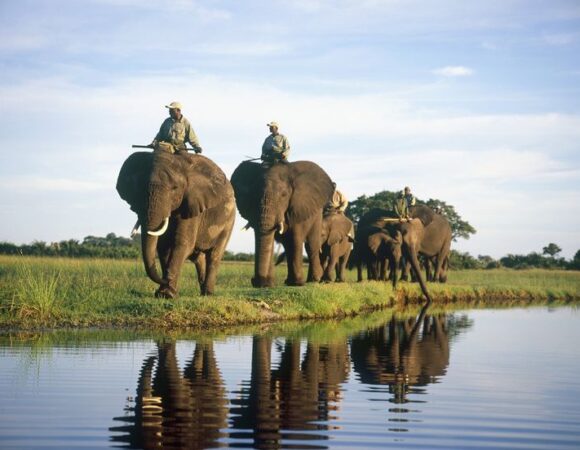 5-Day Luxury Botswana (Okavango Delta & Chobe NP)