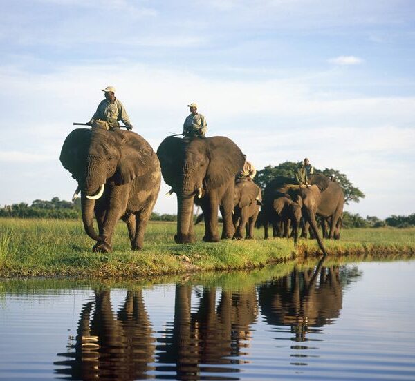 5-Day Luxury Botswana (Okavango Delta & Chobe NP)