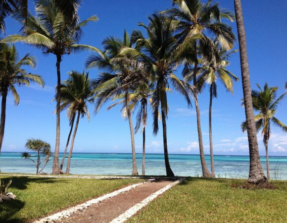 12-Day Honeymoon Experience Romantic Safari