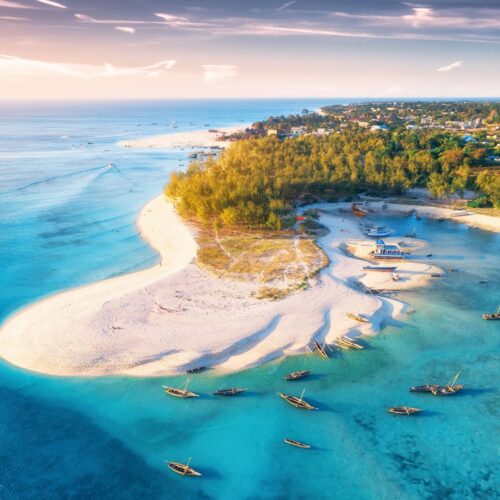 11 Days of Adventure: Gorillas, Great Migration & Zanzibar Bliss