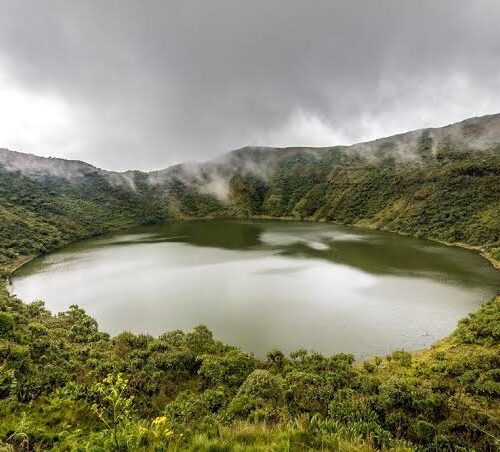 5-Day Rwanda Safari: Gorillas, Golden Monkeys & Mt. Bisoke