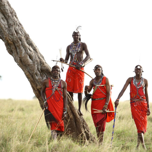 12-Day Wild Kenya & Uganda: From Maasai Mara to Bwindi