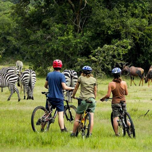 5-Day Uganda Safari: Mburo, Gorillas & Bunyonyi.
